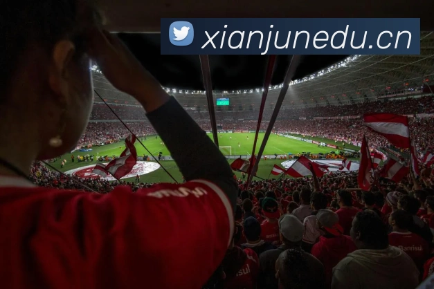 星空官网平台平台生态图